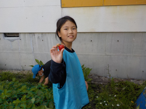 s-DSCN0431.jpg