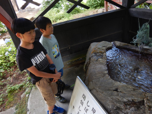 DSCN5539.JPG
