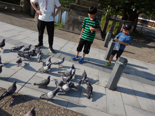 DSCN5589.JPG