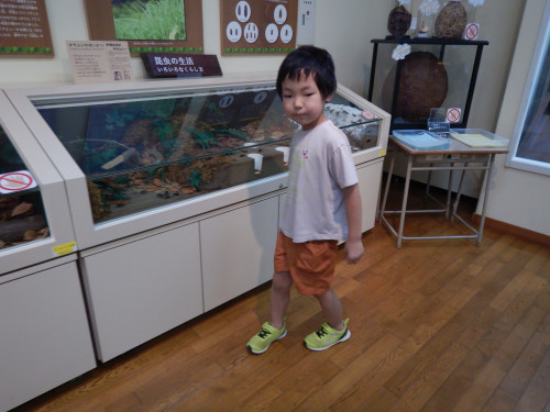 DSCN6068.JPG