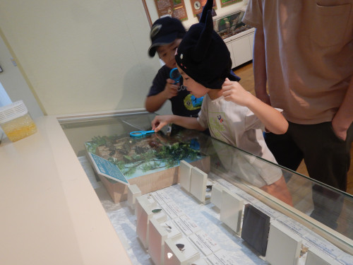 DSCN6076.JPG