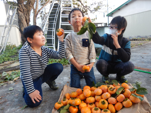 DSCN6708.JPG