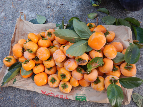 DSCN6709.JPG