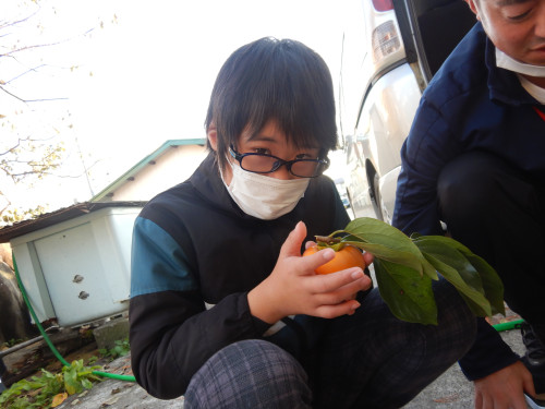 DSCN6700.JPG