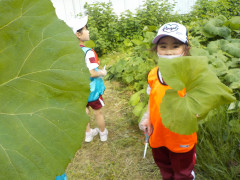 DSCN3426.JPG