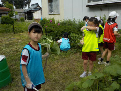 DSCN3434.JPG
