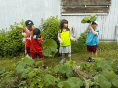 DSCN3435.JPG