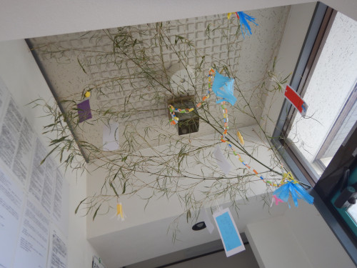 DSCN9155.JPG
