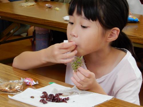 s-DSCN7761.JPG