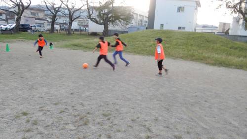s-DSCN8479.jpg
