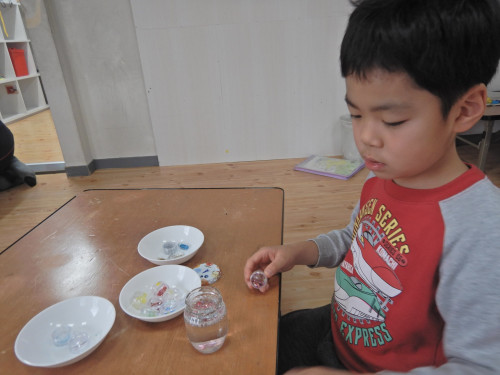 s-DSCN6349.jpg