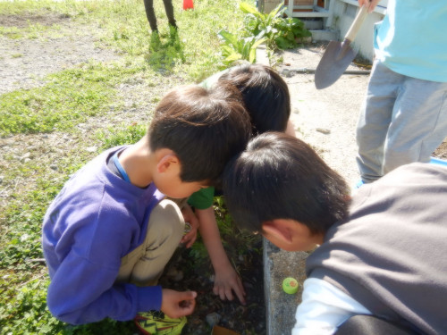 s-DSCN8119.jpg