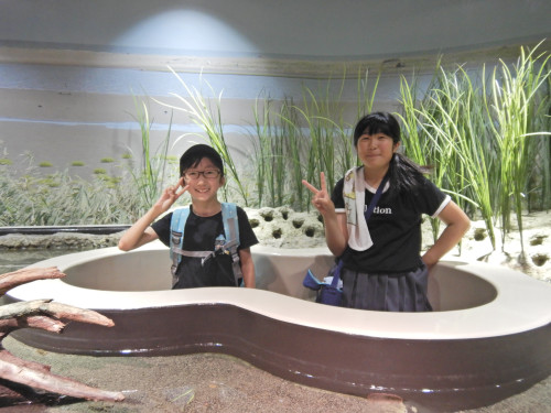 DSCN8378.JPG