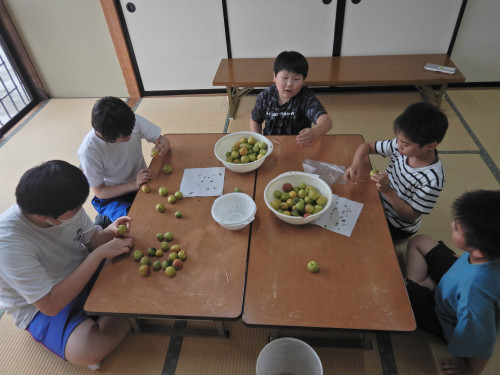 DSCN8462.JPG