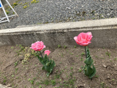 IMG_9462.JPG