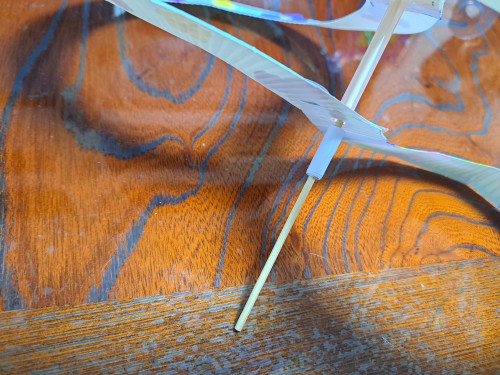 20260429_104602.jpg