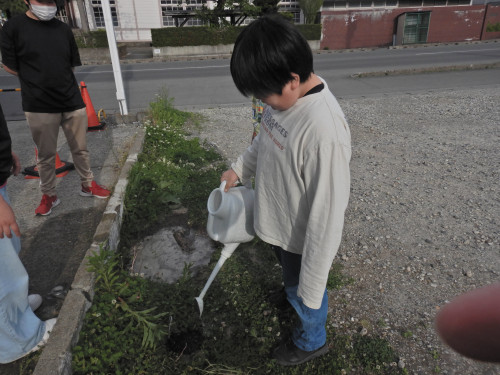 DSCN0516.JPG