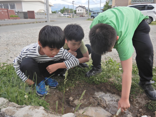 DSCN0511.JPG