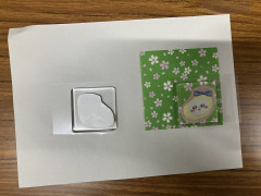 IMG_9636.JPG