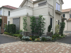 IMG_E5155.JPG