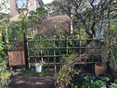 image0[2090].jpeg