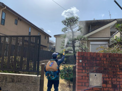 image0 - コピー (3).jpeg