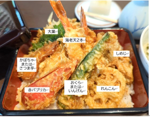 教育サイト用盛りつけ.jpg