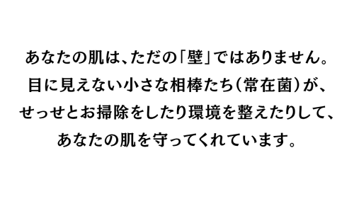 見出し_20260727_000100_0000.png