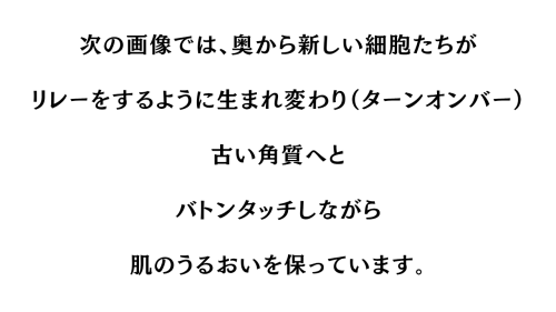 見出し_20260727_000100_0001.png