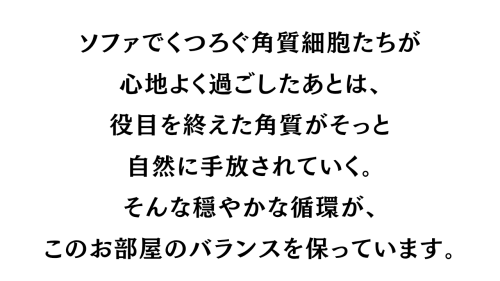 見出し_20260727_000100_0004.png