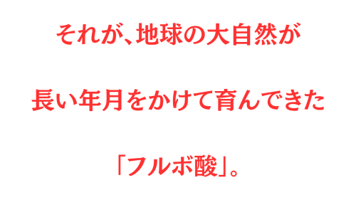 見出し_20260727_000100_0006.png