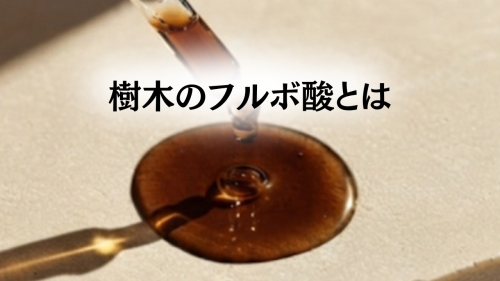 見出し_20260727_003511_0000.png