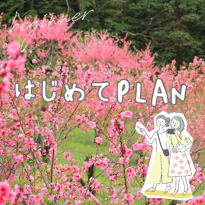 はじめてPLAN