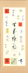 百花繚乱.jpg