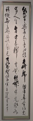 PXL_20260528_004108113.MP.jpg