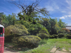IMG-2479.JPG