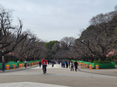 4967E111-2D10-4A84-96ED-5A106D969670.jpeg