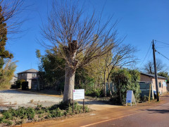 内覧会を開催します