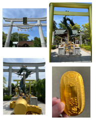 Collage_2025-05-06_20_47_31.jpg