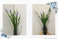 IMG_7250.jpeg