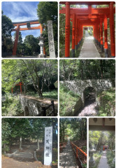 IMG_7569.jpeg