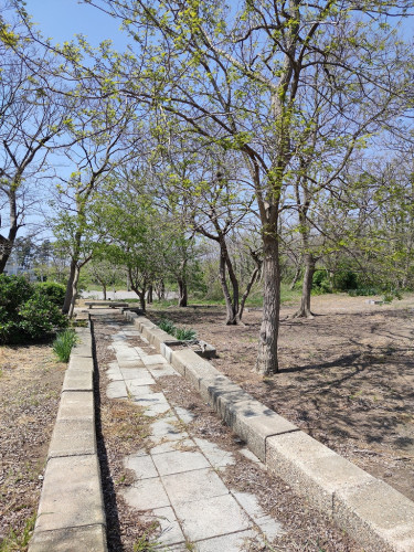 s-1746074434627.jpg