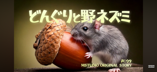 完全オリジナルストーリー絵本の読みきかせ制作始めました。