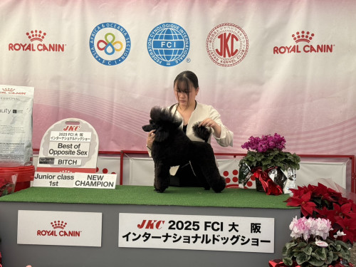 IMG_5249.jpeg