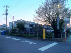 IMG_1013 Copy.JPG