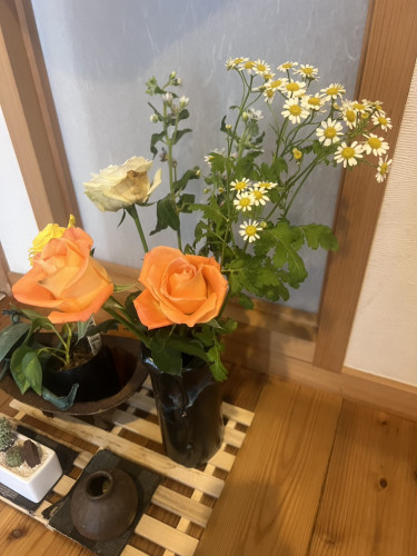 S__13893642_0.jpg