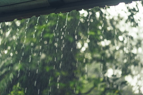軒雨.jpg