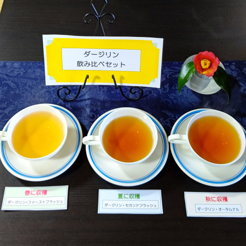 ダージリンページ★写真の60冊 横浜元町紅茶専門店ラ・テイエール / ダージリンセカンドフラッシュ