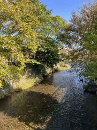 ちいさい秋みつけた🍂🌰