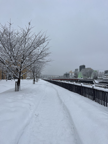 そう簡単に春にさせませんよ☃️